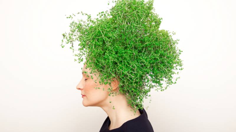 Blog Ambiental • Mulher de perfil com cabeça coberta por plantas, simbolizando a conexão entre natureza e saúde mental