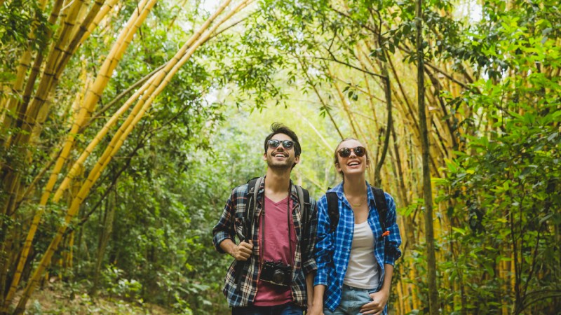 Blog Ambiental • Casal caminhando entre bambus altos, sorrindo e apreciando a paisagem, representando ecoturismo, bem-estar e contato com a natureza. Imagem de Freepik.