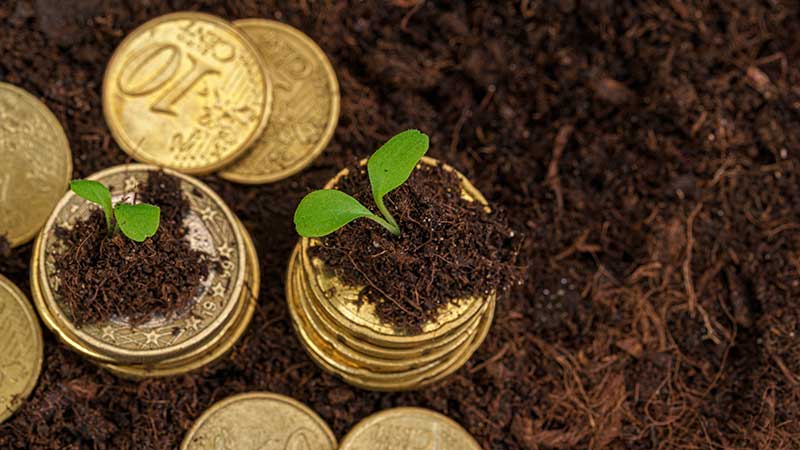 Blog Ambiental • Mudas verdes brotando sobre pilhas de moedas, simbolizando o investimento de impacto