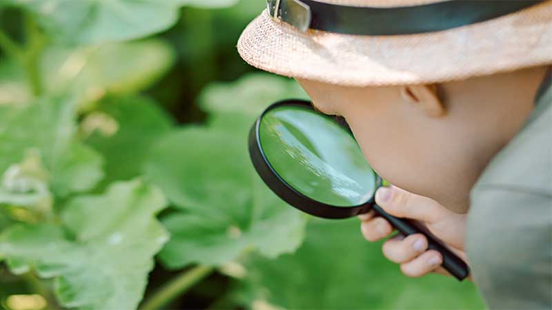 Blog Ambiental • Criança com chapéu observando planta com lupa, explorando a natureza de perto em um ambiente verde