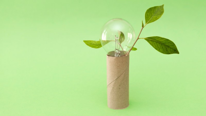 Blog Ambiental • Lâmpada com folhas emergindo de tubo de papel reciclado, simbolizando inovação ecológica e economia circular.