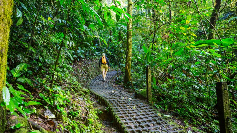 Blog Ambiental • Pessoa caminhando por trilha ecológica cercada pela vegetação da Mata Atlântica.