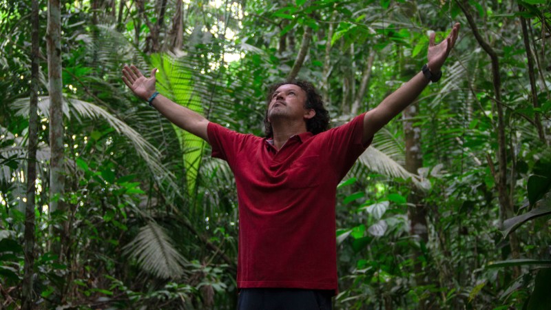 Blog Ambiental • Homem de braços abertos em meio à vegetação densa da Mata Atlântica.