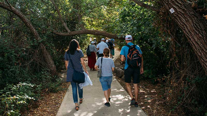 Grupo de pessoas caminhando por trilha ecológica em meio à vegetação densa, representando turismo sustentável e bem-estar ao ar livre.