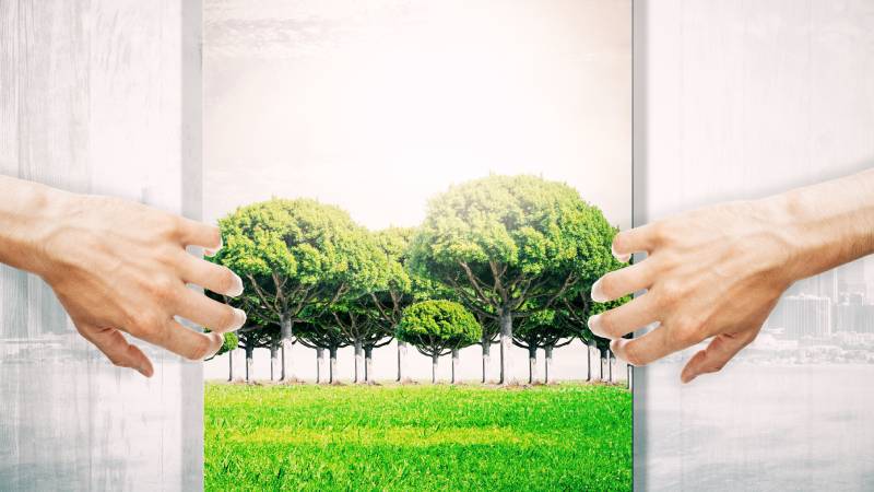 Paisagem verde vista através de uma janela simbolizando abertura para um futuro sustentável.