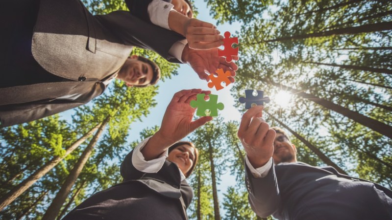 Blog Ambiental • Integração de equipe em ambiente natural representando colaboração estratégica