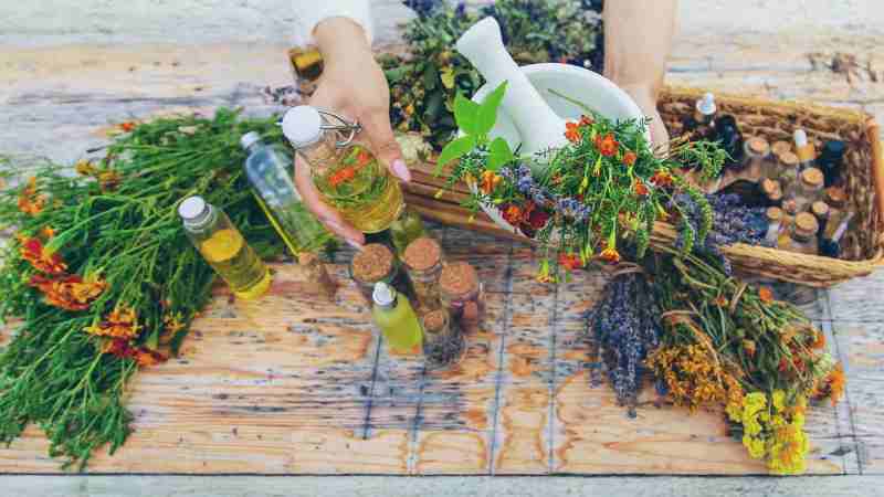 Blog Ambiental • Produção de extratos vegetais com frascos de óleo e ervas frescas