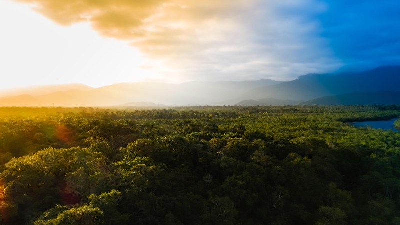 Blog Ambiental • Floresta preservada representando o Dia do Conservacionismo e a importância da proteção da biodiversidade e dos ecossistemas no Brasil