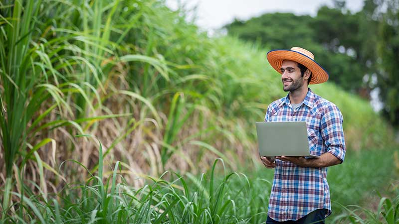 Blog-Ambiental-agricultor-de-cana