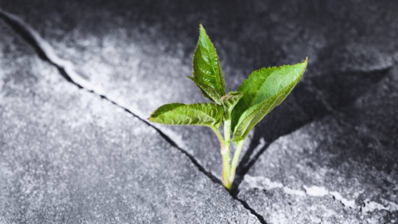 Blog Ambiental: Race to Resilience