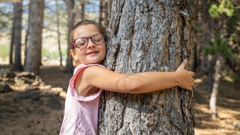 Blog-Ambiental-Educação Ambiental