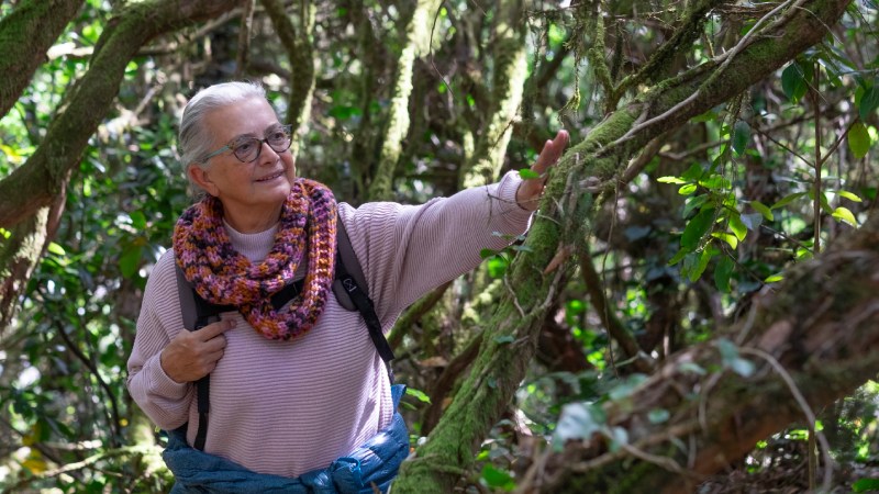 Blog Ambiental • Idosa caminha entre árvores e toca vegetação da Mata Atlântica