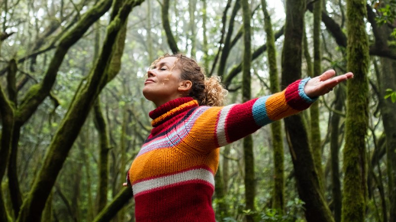 Blog Ambiental • Mulher com braços abertos celebra a floresta da Mata Atlântica e o valor do Turismo Sustentável